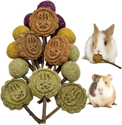 Fhiny Rabbit Chew Toys, 15 PCS Natural Bunny Lollipop Chew Sticks Handmade Guinea Pig Molar Treats for Teeth Small Animals Snacks for Guinea Pig Bunny Chinchilla Hamster Gerbil Teeth Care