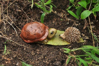 Top Collection Enchanted Story Fairy Garden Turtle and Hedgehog Outdoor Statue