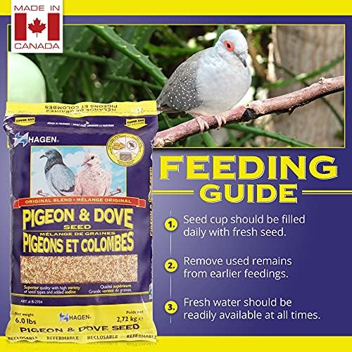 Hagen Pigeon & Dove Seed, Original Formula Bird Food, 6 lb Bag