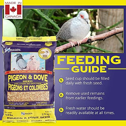 Hagen Pigeon & Dove Seed, Original Formula Bird Food, 6 lb Bag