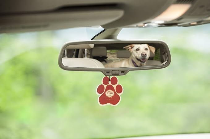 One Fur All Pet House Car Air Freshener - Fall Mix Pack of 4 - Non-toxic Car Air Freshener - Pet-Friendly Air Freshener For Small Spaces & Car - Hanging Odor Eliminating Air Freshener