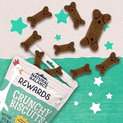 Natural Balance Rewards, Crunchy Biscuits, Chicken, 14 oz