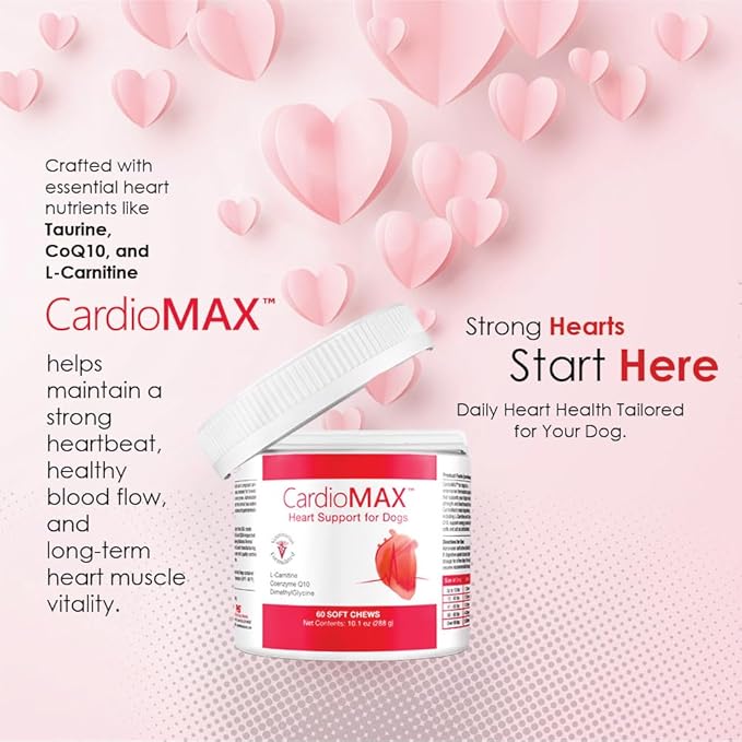 Heart Support Supplement for Dogs-Vet-Formulated, Antioxidant-Rich-L-Taurine, L-Carnitine,EPA,DHA,CoQ10-Aids Circulatory Strength, Cardiovascular Support, Heart Muscle Function-USA Made-60 Soft Chews