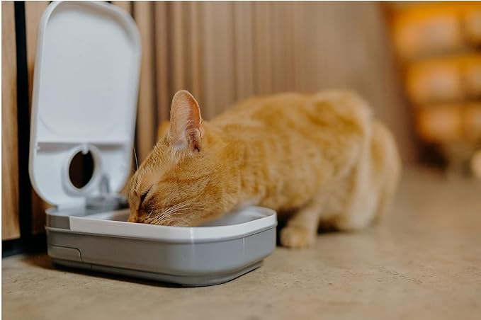 Cat Mate C100 Single Meal Automatic Timer-Controlled Pet Feeder - Suitable for Cats and Small Dogs, For Wet or Dry Food, up to 14 oz capacity, White