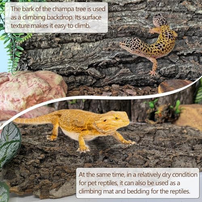 Cork Terrarium Background 11.8x7.9in 6PCS Natural Reptile Cork Bark Flats Terrarium Board Bearded Dragon Climbing Wall Mat Tank Accessories Decor for Lizard Chamelon Snake Turtle Spider Crested Gecko