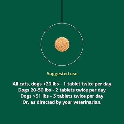 Standard Process Inc. VF Bio-Dent for Pets - Bone Growth & Healthy Tissue Support Pet Supplement - Overall Mouth Health Support Supplement - Nutritional Supplement for Cats & Dogs - 90 Tablets