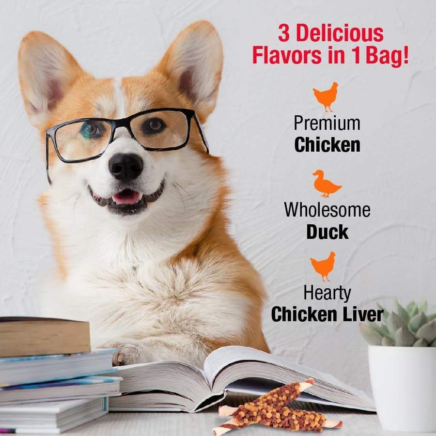Good 'n' Fun Triple Flavor Blasts for All Dogs, 4 Ounces, Treat Your Dog to Long-Lasting Chews Made with Chicken Liver, Chicken & Duck (Pack of 2)