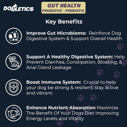 Gut Health Probiotic & Prebiotic - 90ct Support Stomach Microbiome, Prevent Digestive Problems, Reduce Anal Gland Issues, Improve Immune Function and Overall Energy