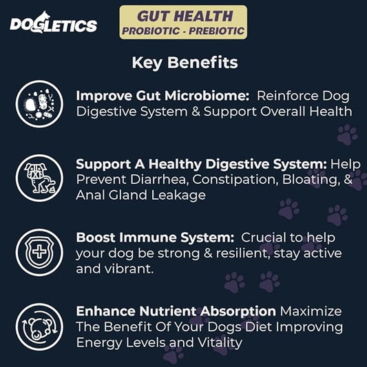 Gut Health Probiotic & Prebiotic - 90ct Support Stomach Microbiome, Prevent Digestive Problems, Reduce Anal Gland Issues, Improve Immune Function and Overall Energy