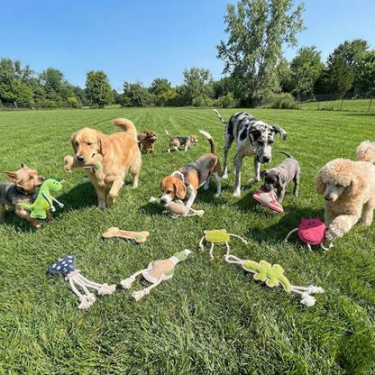 Fuzzl Eco Leather Charlie Chicken Natural and Tough Dog Toys - Long Lasting Chew Toys for Moderate Chewers - Strong Dog Toy for Dogs and Puppy with Natural Jute Filling and Double Stitching