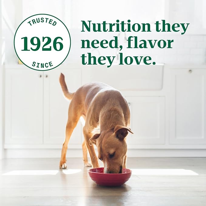 Nutro Ultra Wet Dog Food Grain Free Filets, Adult Dog Food Wet Recipe in Gravy Deluxe Chicken Entree, 3.5 oz. Trays (24 Count, Pack of 1)