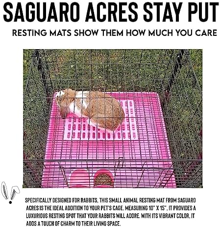 Saguaro Acres Rabbit and Small Animal Cage Resting Mat for Wire Floored Cages 2 Pack (Pink)