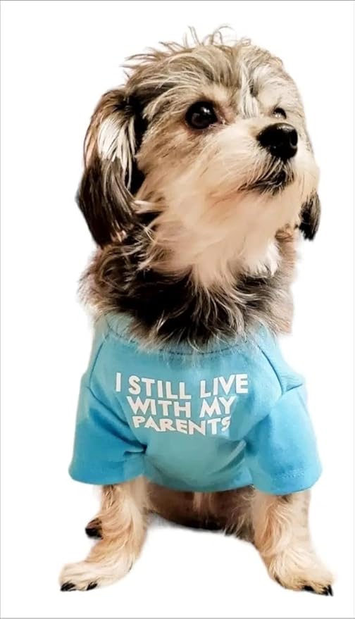 Cute Dog Clothes, T Shirt for Medium and Small Dogs Girl Boy,Puppy.Breathable Soft Dog Costume for Pet Dogs Cats, Pet Pullover Jumper, Cat Clothes (M-(7~11lb), Chest~16", Aqua)