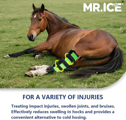 Horse Ice Boots - Reusable Gel Ice Pack for Horses | Cooling Leg Wraps for Hock, Knee, Ankle & Hooves | Horse Supplies & Care Gift Ideas - 1 Pair, Green