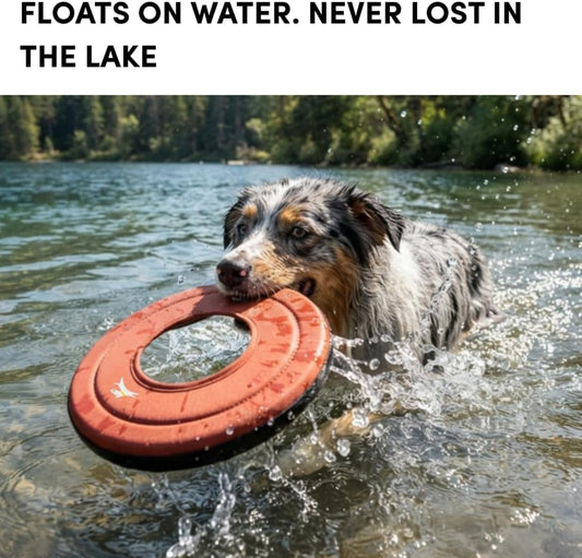 OllyDog Super Flyer Dog Flying Disc – Floating Fetch Toy for Water Play, Soft Eco-Friendly Recycled Fabric, Gentle on Teeth, 11" for Medium & Large Dogs (Cider)