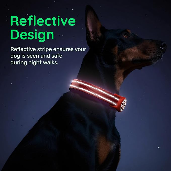 Airtag Dog Collar, Reflective Ultra-Durable Nylon Padded with QR Code Buckle & IP68 Waterproof Air Tag Holder Compatible for Apple AirTag, Comfortable for Small Medium Large Dogs(Red,L)