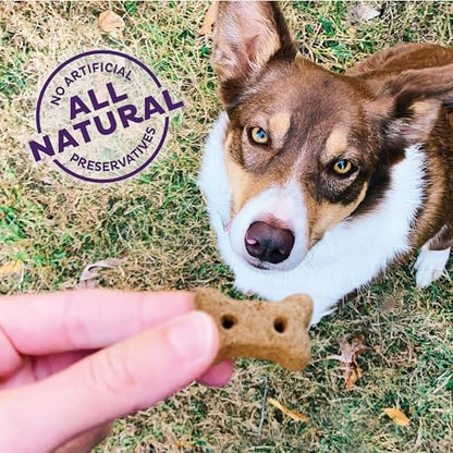 Old Mother Hubbard by Wellness Classic Natural Puppy Treats, Crunchy Oven-Baked Biscuits, Ideal for Training, Mini Size Dog Treats, 20 Ounce Bag (Pack of 2)