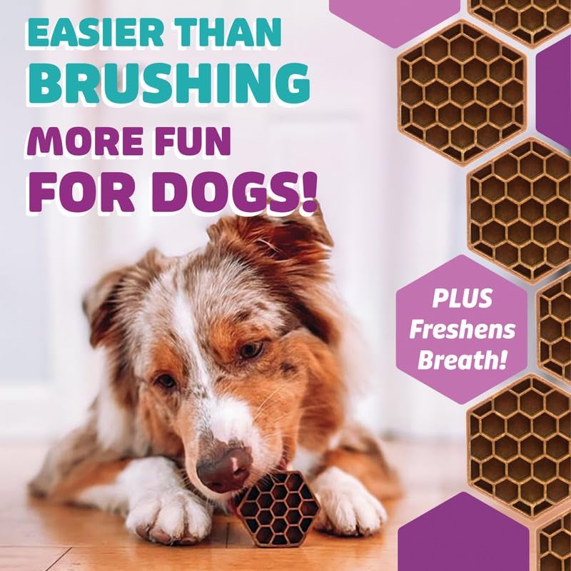 Longevity15 C15:0 Dog Health Supplement (30-Day Supply) & Yummy Combs Dog Dental Treats (8oz Bag) for Extra Large Dogs – C15:0 Fatty Acid for Daily Wellness, Food Topper – VOHC Approved Oral Care