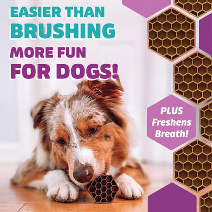 Longevity15 C15:0 Dog Health Supplement (30-Day Supply) & Yummy Combs Dog Dental Treats (8oz Bag) for Extra Large Dogs – C15:0 Fatty Acid for Daily Wellness, Food Topper – VOHC Approved Oral Care