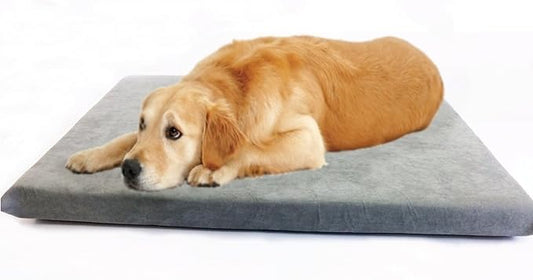 Luxurious Comfort Solid Pad Memory Foam Pet Dog Bed with Inner Waterproof Case and External Cover for Medium and Large Dogs + Free 2nd Cover (Complete Bed - 45"x27"x3", Suede - Gray)