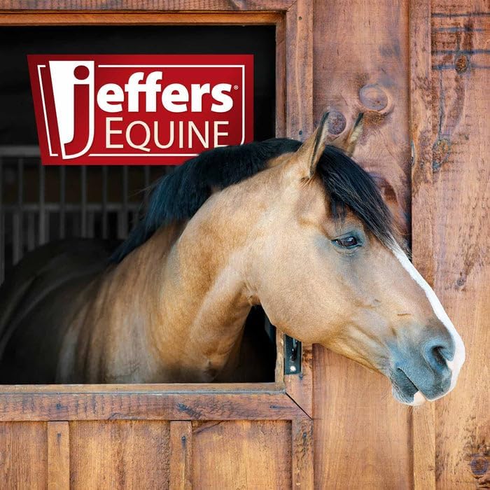 Jeffers Waterless No Rinse Horse Shampoo Spray, 16 oz – Soap & Detergent Free Formula, Equine Grooming Cleaner for Horses, Cold Weather Bath, Spot Cleaning, Show Prep, Travel, Barn & Tack Room