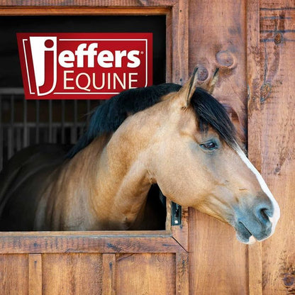 Jeffers Waterless No Rinse Horse Shampoo Spray, 16 oz – Soap & Detergent Free Formula, Equine Grooming Cleaner for Horses, Cold Weather Bath, Spot Cleaning, Show Prep, Travel, Barn & Tack Room