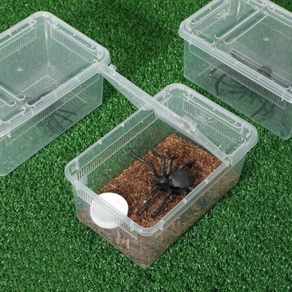 Irenare 8 Pcs Reptile Breeding Box Plastic Spider Terrarium Tarantula Feeding Box for Bearded Dragon Lizard Spider Gecko Scorpion(Vent Strips,Clear,5.9 x 3.9 x 2.5 Inch)