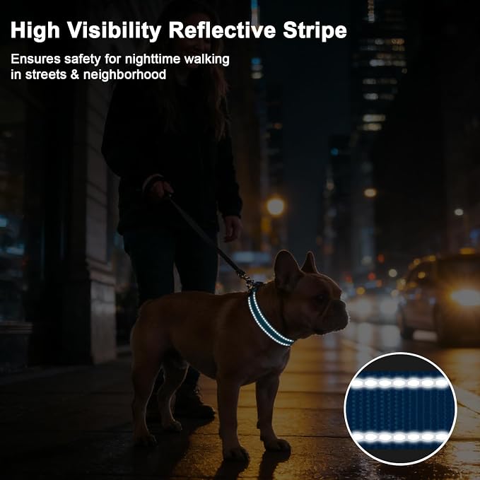 Taglory AirTag Dog Collar with Waterproof Holder for Large Dogs, SkyBlue L | Reflective for Night Walks & Low-Light Safety, Track Your Pup Peace of Mind, Adjustable Soft Padded, No More Dangling Tags