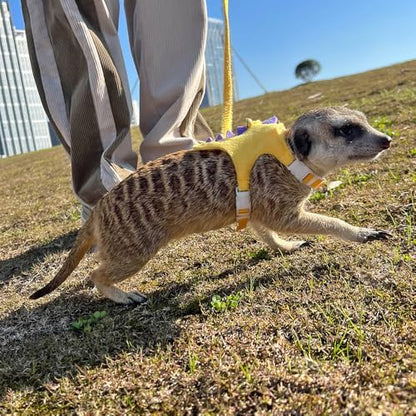 Ferret Harness and Leash Set Small Animals Vest Harness with Safe bell Dinosaur Shaped Walking clothes for Baby Rabbit Guinea pig Teacup Chihuahua Mouse and other small pet.(Yellow Dinosaur)