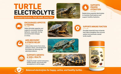Tortoise Electrolytes — Ultra-Fine Powder — Banana 2.82 oz