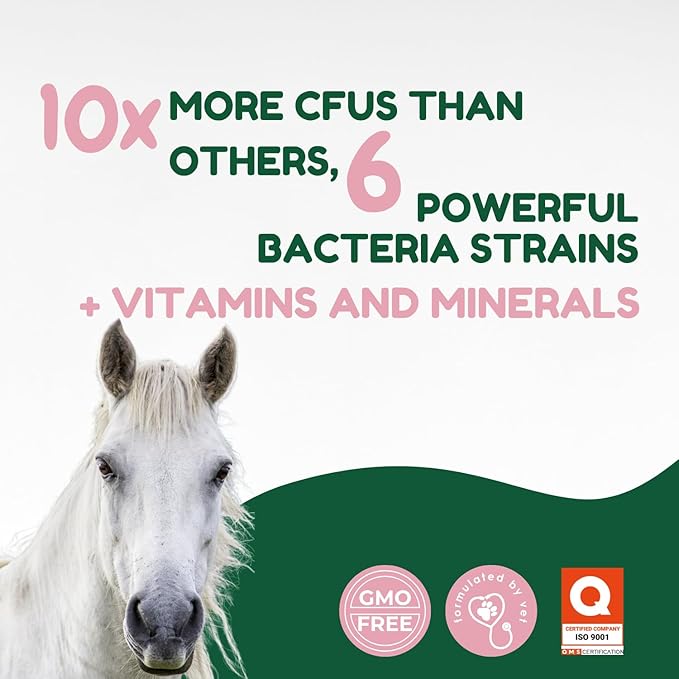 Horse Probiotic Paste – 8 Billion CFU Equine Probiotic with Prebiotics & Vitamins – Hindgut Health, Digestive Balance & Feed Efficiency Support – 80CC