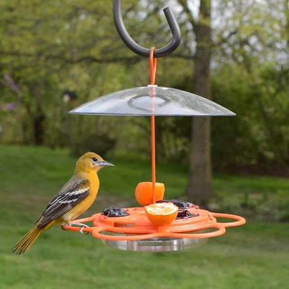Nature's Way OFP1 All-in- Oriole Buffet Bird Feeder,Orange,(Pack of 6)