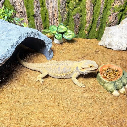 Hamiledyi 78.7x15.7in Reptile Carpet Coconut Fiber Substrate Large Snake Bedding Coco Liner Roll Mat for Bearded Dragon Tortoise Lizard Habitat Pad Garden Decoration