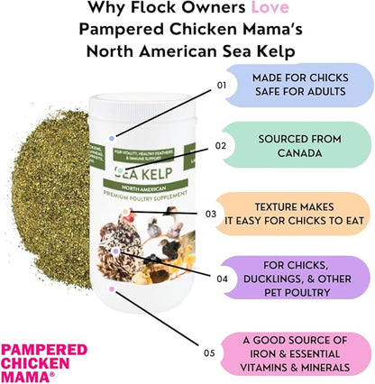 Kelp for Chickens & Duck Feed (5 Pound): Chicken Vitamins | Chicken Supplements | Vitamins for Chickens | Pampered Chicken Mama