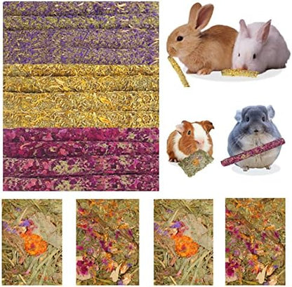 Abizoo 16 Packs Bunny Flower Chew Toys