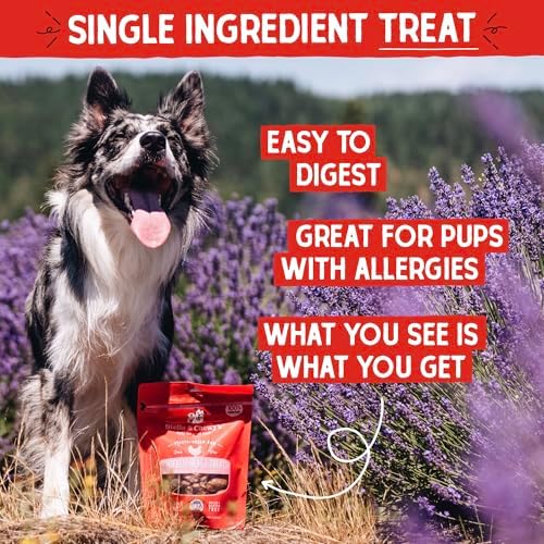 Stella & Chewy's Freeze-Dried Raw Chicken Heart Dog Treats - Single Ingredient, No Additives - Premium Training Treats - Perfect For Picky Eaters - 3oz Bag