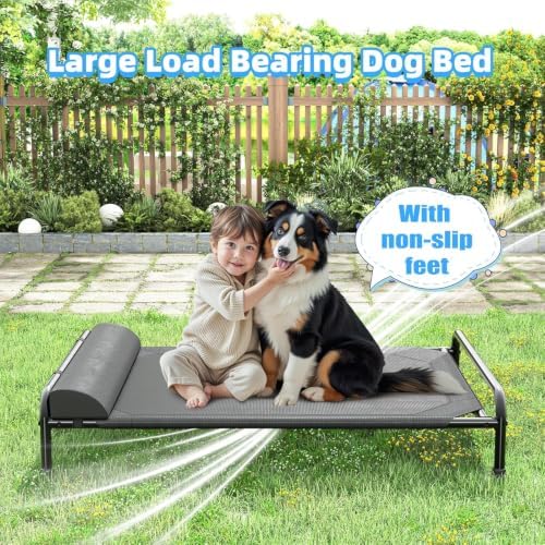Simple Trending Elevated Dog Bed for Large Dogs, 44.5" x 31", Black
