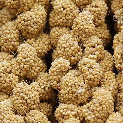 Spray Millet Treat for Birds Parakeets, Millet for Birds, Natural Bird Food
