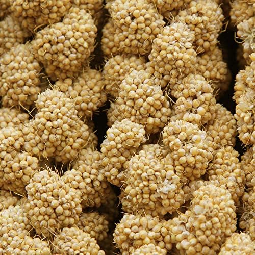 Spray Millet Treat for Birds Parakeets, Millet for Birds, Natural Bird Food