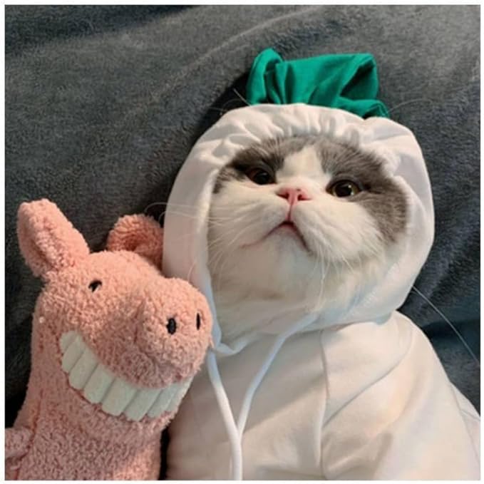 Pet Clothing Dog Transformation Frog Hoodie Autumn and Winter Warm Small Large Dog Method Dou Cat Bullfighting Clothes (White Radish,M)