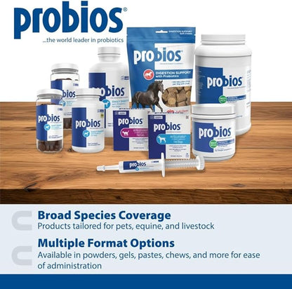 Probios for Dogs Soft Chews, Probiotics for Dogs, Daily Supplement for Gut Health, Digestion & Immune Support, Medium & Large Breeds, 8.46oz (Pack of 2)