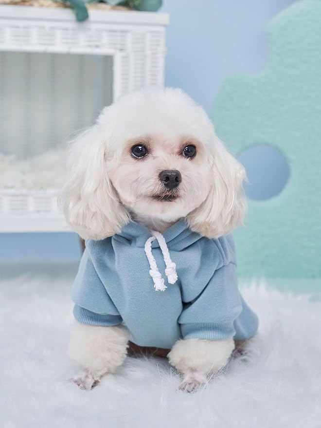 QWINEE Basic Dog Hoodie Sweatshirt Puppy Sweater Warm Cat Costumes Pet Clothes for Chihuahua Puppy Kitten Small Medium Dogs Multicolored Large