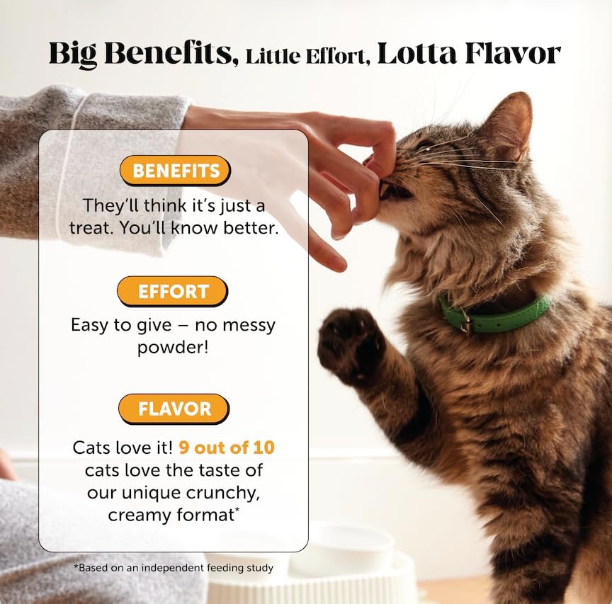 Cat Immune Support Lysine – Allergy Relief & Immune Health Supplement for Cats with L-Lysine, Colostrum, Quercetin & Omega-3 – Soothes Sneezing, Runny Nose & Itchy Skin Chicken, (90-Day Supply)
