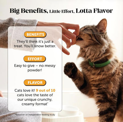 Cat Immune Support Lysine – Allergy Relief & Immune Health Supplement for Cats with L-Lysine, Colostrum, Quercetin & Omega-3 – Soothes Sneezing, Runny Nose & Itchy Skin Chicken, (90-Day Supply)