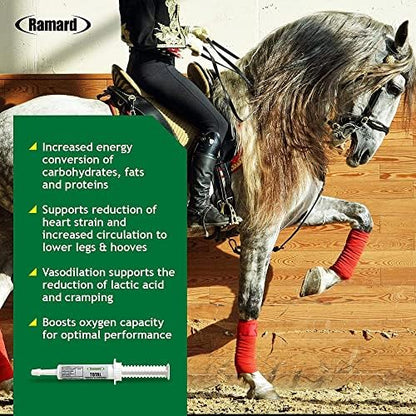 Ramard Total Energy and Stamina Support with B Vitamins & Amino Acids, Maximizes Oxygen Capacity, Peak Performance in Competition or Workouts, Powerful Vasodilator, Oral Gel, 15 cc Syringe, 1-Pack