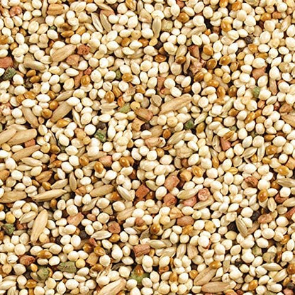 Wild Harvest Daily Blend Bird Food For Parakeet, Canary & Finch,10 lbs