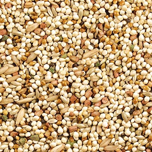 Wild Harvest Daily Blend Nutrition Diet for Parakeet, Canary and Finch, Orange Flavored, 10 Pounds (Pack of 2)