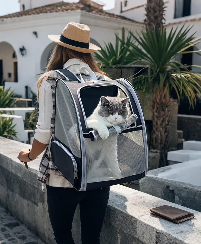 Cat Backpack Dog Backpack Carrier for Small Dogs and Medium Cat up to 15lbs, Travel Pet Carrier for Puppy Kitten Bunny, Cat Dog Carrying Backpack Collapsible (Black)