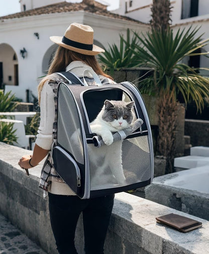 Cat Backpack Dog Backpack Carrier for Small Dogs and Medium Cat up to 15lbs, Travel Pet Carrier for Puppy Kitten Bunny, Cat Dog Carrying Backpack Collapsible (Black)