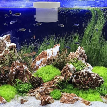 Ipetboom Fish Tank Separate Box Small Aquarium Breeding Box Floating Fish Fry Holder for Aquarium Isolation and Breeding 3.94X3.94X3.15 Inches